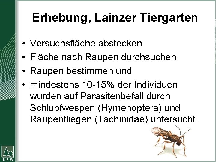 Erhebung, Lainzer Tiergarten • • Versuchsfläche abstecken Fläche nach Raupen durchsuchen Raupen bestimmen und