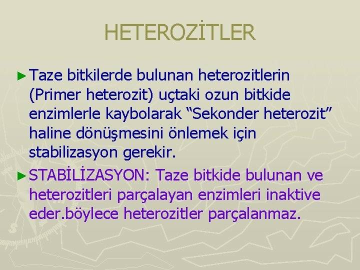 HETEROZİTLER ► Taze bitkilerde bulunan heterozitlerin (Primer heterozit) uçtaki ozun bitkide enzimlerle kaybolarak “Sekonder