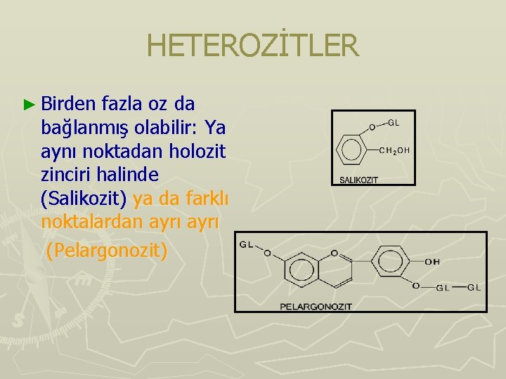 HETEROZİTLER ► Birden fazla oz da bağlanmış olabilir: Ya aynı noktadan holozit zinciri halinde