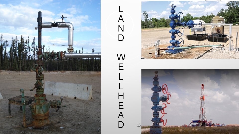 L A N D W E L L H E A D 