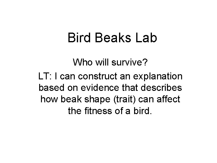 Bird Beaks Lab Who will survive? LT: I can construct an explanation based on