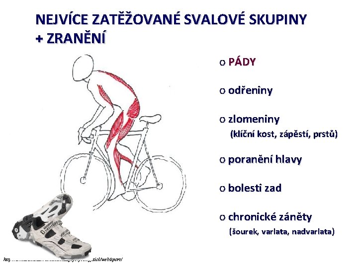 NEJVÍCE ZATĚŽOVANÉ SVALOVÉ SKUPINY + ZRANĚNÍ o PÁDY o odřeniny o zlomeniny (klíční kost,