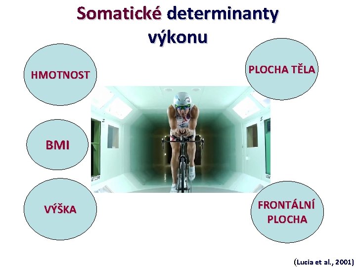 Somatické determinanty výkonu HMOTNOST PLOCHA TĚLA BMI VÝŠKA FRONTÁLNÍ PLOCHA (Lucia et al. ,