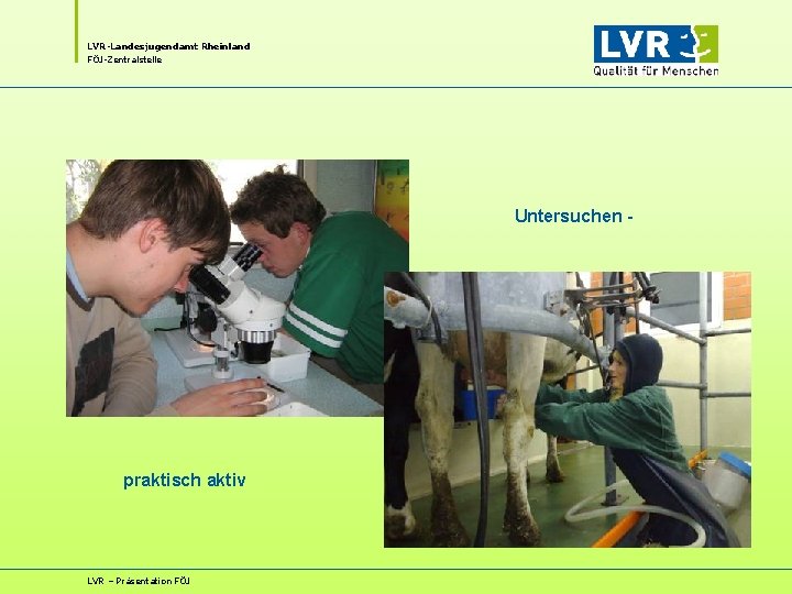 LVR-Landesjugendamt Rheinland FÖJ-Zentralstelle Untersuchen - praktisch aktiv LVR – Präsentation FÖJ LVR-Landesjugendamt Rheinland FÖJ-Zentralstelle Untersuchen - praktisch aktiv LVR – Präsentation FÖJ