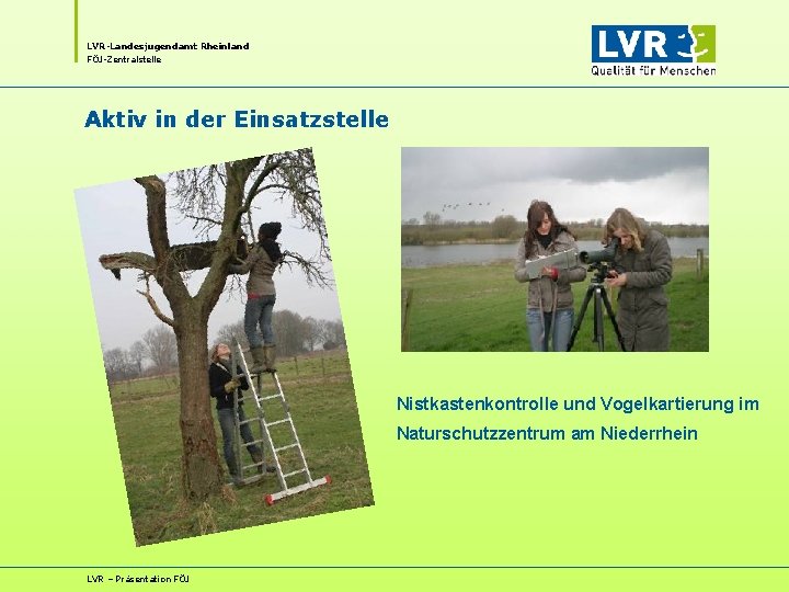 LVR-Landesjugendamt Rheinland FÖJ-Zentralstelle Aktiv in der Einsatzstelle Nistkastenkontrolle und Vogelkartierung im Naturschutzzentrum am Niederrhein