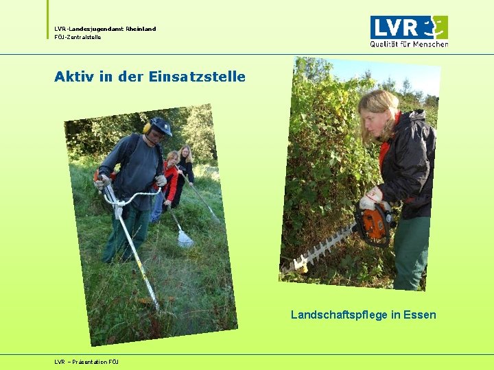 LVR-Landesjugendamt Rheinland FÖJ-Zentralstelle Aktiv in der Einsatzstelle Landschaftspflege in Essen LVR – Präsentation FÖJ LVR-Landesjugendamt Rheinland FÖJ-Zentralstelle Aktiv in der Einsatzstelle Landschaftspflege in Essen LVR – Präsentation FÖJ
