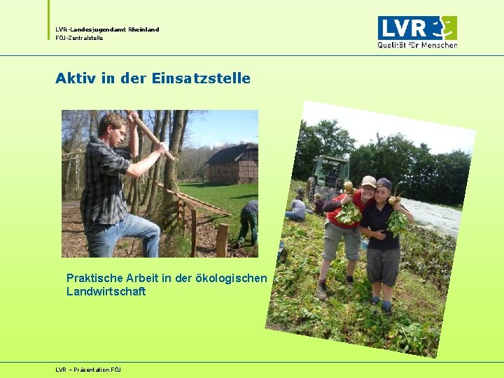 LVR-Landesjugendamt Rheinland FÖJ-Zentralstelle Aktiv in der Einsatzstelle Praktische Arbeit in der ökologischen Landwirtschaft LVR