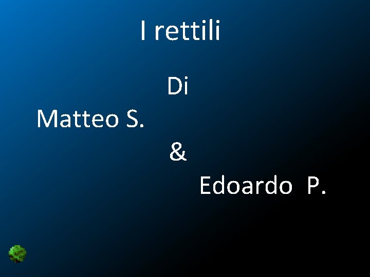 I rettili Matteo S. Di & Edoardo P. 