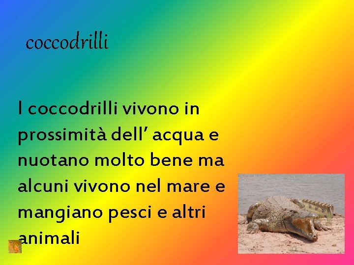 coccodrilli I coccodrilli vivono in prossimità dell’ acqua e nuotano molto bene ma alcuni