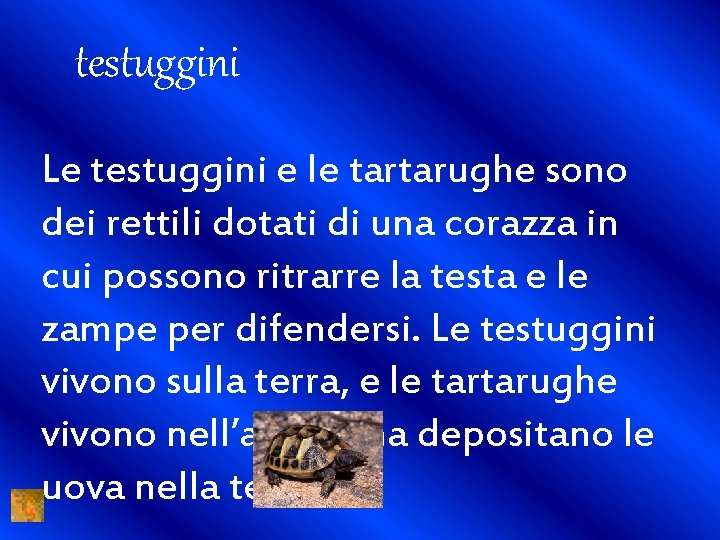 testuggini Le testuggini e le tartarughe sono dei rettili dotati di una corazza in