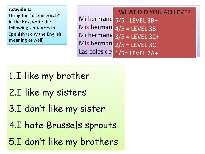Activida 1: Using the “useful vocab” in the box, write the following sentences in