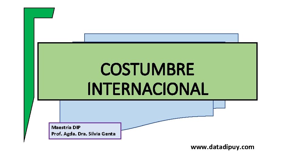 COSTUMBRE INTERNACIONAL Maestría DIP Prof. Agda. Dra. Silvia Genta www. datadipuy. com 