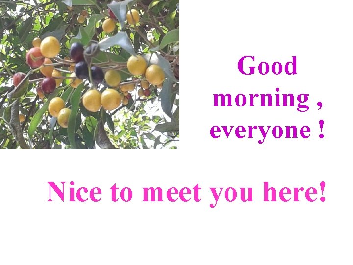 Good morning , everyone ! Nice to meet you here! 