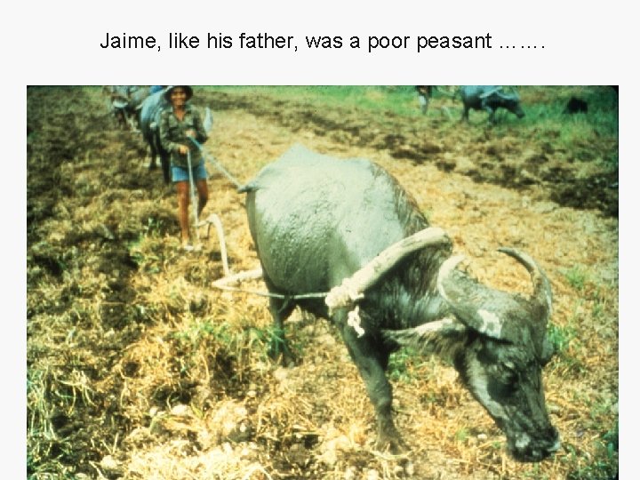 Jaime, like his father, was a poor peasant ……. 