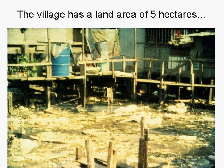 The village has a land area of 5 hectares… 