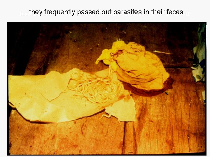 . . they frequently passed out parasites in their feces…. 
