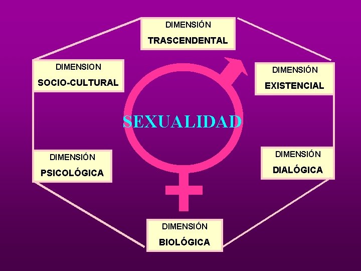 DIMENSIÓN TRASCENDENTAL DIMENSION DIMENSIÓN SOCIO-CULTURAL EXISTENCIAL SEXUALIDAD DIMENSIÓN PSICOLÓGICA DIALÓGICA DIMENSIÓN BIOLÓGICA DIMENSIÓN TRASCENDENTAL DIMENSION DIMENSIÓN SOCIO-CULTURAL EXISTENCIAL SEXUALIDAD DIMENSIÓN PSICOLÓGICA DIALÓGICA DIMENSIÓN BIOLÓGICA