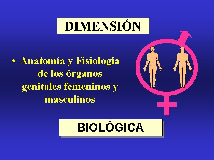 DIMENSIÓN • Anatomía y Fisiología de los órganos genitales femeninos y masculinos BIOLÓGICA DIMENSIÓN • Anatomía y Fisiología de los órganos genitales femeninos y masculinos BIOLÓGICA