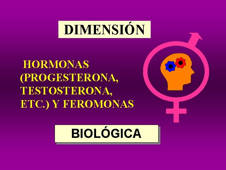 DIMENSIÓN HORMONAS (PROGESTERONA, TESTOSTERONA, ETC. ) Y FEROMONAS BIOLÓGICA DIMENSIÓN HORMONAS (PROGESTERONA, TESTOSTERONA, ETC. ) Y FEROMONAS BIOLÓGICA