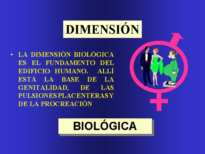 DIMENSIÓN • LA DIMENSIÓN BIOLÓGICA ES EL FUNDAMENTO DEL EDIFICIO HUMANO. ALLÍ ESTÁ LA DIMENSIÓN • LA DIMENSIÓN BIOLÓGICA ES EL FUNDAMENTO DEL EDIFICIO HUMANO. ALLÍ ESTÁ LA