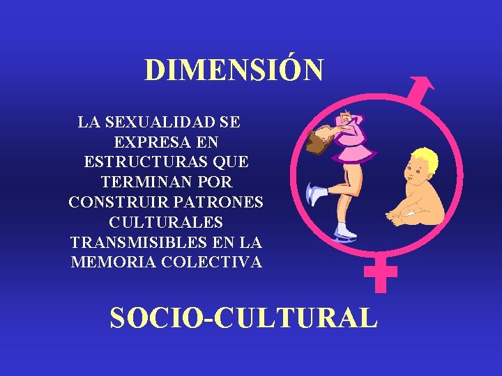 DIMENSIÓN LA SEXUALIDAD SE EXPRESA EN ESTRUCTURAS QUE TERMINAN POR CONSTRUIR PATRONES CULTURALES TRANSMISIBLES DIMENSIÓN LA SEXUALIDAD SE EXPRESA EN ESTRUCTURAS QUE TERMINAN POR CONSTRUIR PATRONES CULTURALES TRANSMISIBLES