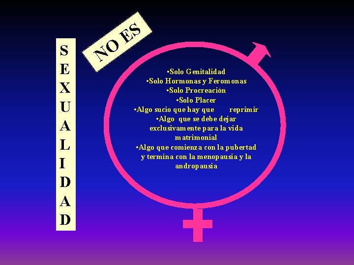 S E X U A L I D A D NO ES • Solo S E X U A L I D A D NO ES • Solo