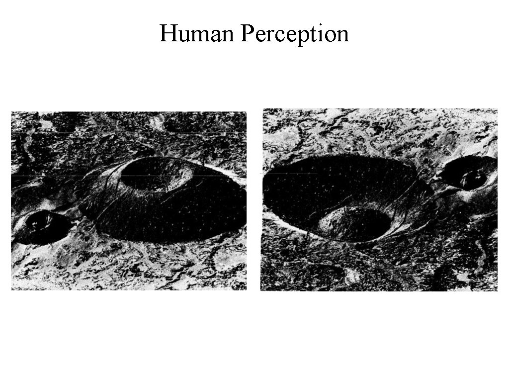 Human Perception 