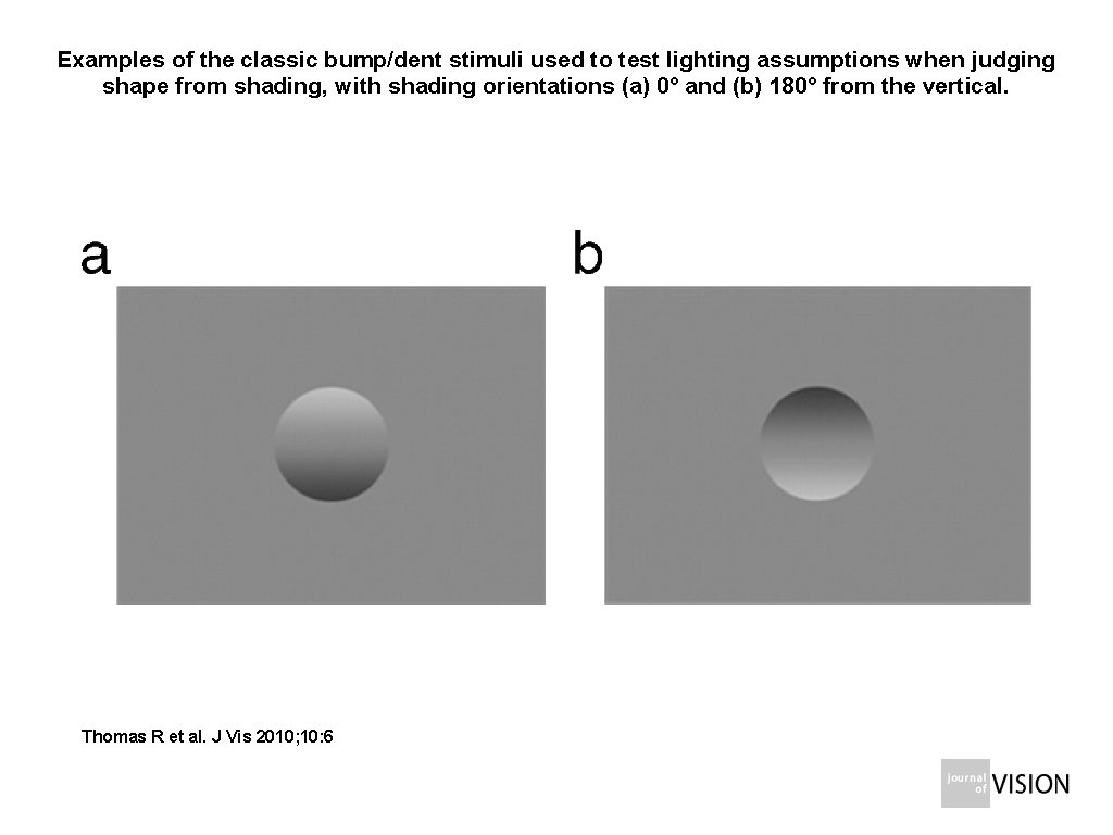 Examples of the classic bump/dent stimuli used to test lighting assumptions when judging shape