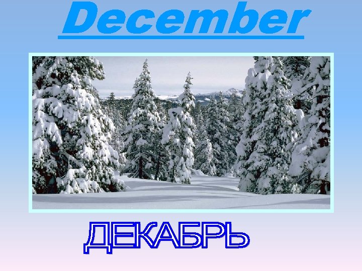December December