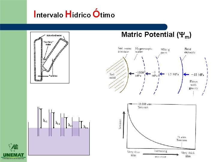 Intervalo Hídrico Ótimo Matric Potential ( m) hc 1 hc 2 hc 3 hc