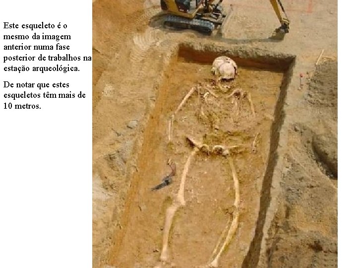 Este esqueleto é o mesmo da imagem anterior numa fase posterior de trabalhos na Este esqueleto é o mesmo da imagem anterior numa fase posterior de trabalhos na