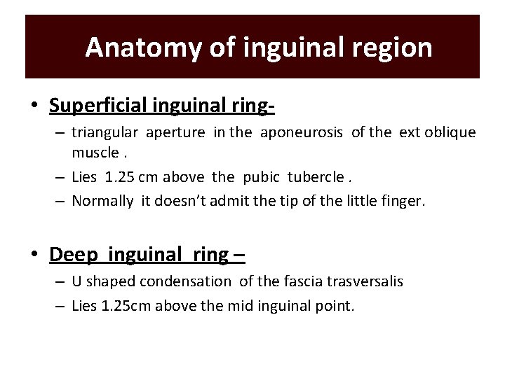 Anatomy of inguinal region • Superficial inguinal ring– triangular aperture in the aponeurosis of Anatomy of inguinal region • Superficial inguinal ring– triangular aperture in the aponeurosis of