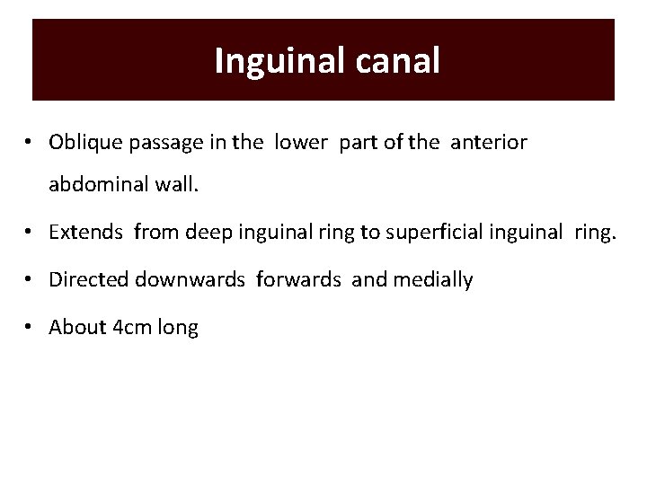 Inguinal canal • Oblique passage in the lower part of the anterior abdominal wall. Inguinal canal • Oblique passage in the lower part of the anterior abdominal wall.