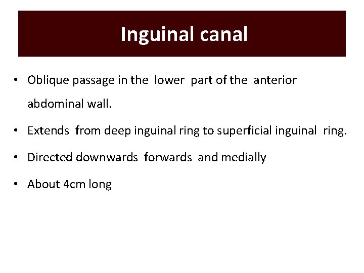 Inguinal canal • Oblique passage in the lower part of the anterior abdominal wall.