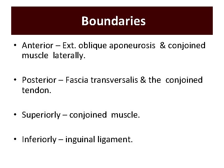 Boundaries • Anterior – Ext. oblique aponeurosis & conjoined muscle laterally. • Posterior –
