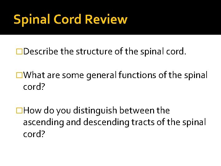 Spinal Cord Review �Describe the structure of the spinal cord. �What are some general