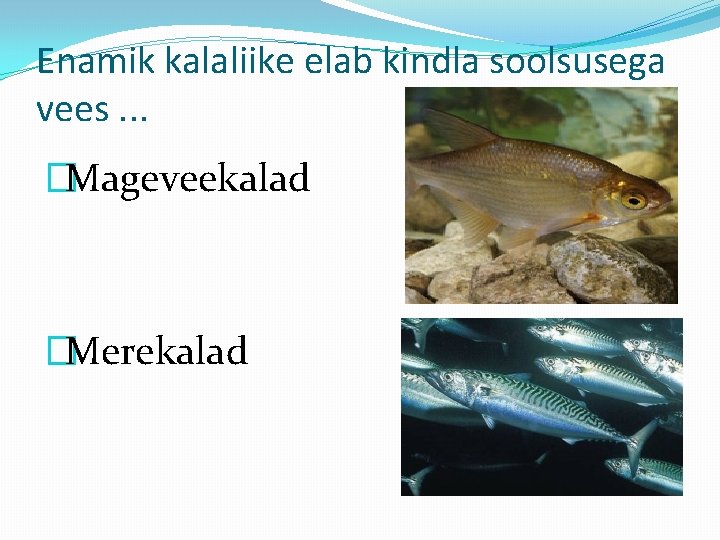Enamik kalaliike elab kindla soolsusega vees. . . �Mageveekalad �Merekalad 