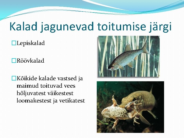Kalad jagunevad toitumise järgi �Lepiskalad �Röövkalad �Kõikide kalade vastsed ja maimud toituvad vees hõljuvatest