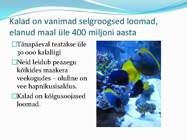 Kalad on vanimad selgroogsed loomad, elanud maal üle 400 miljoni aasta �Tänapäeval teatakse üle
