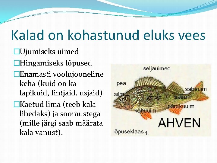 Kalad on kohastunud eluks vees �Ujumiseks uimed �Hingamiseks lõpused �Enamasti voolujooneline keha (kuid on