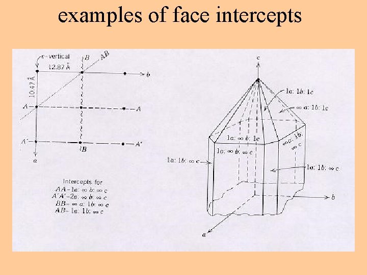 examples of face intercepts 