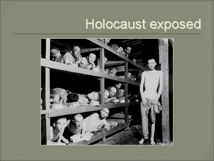 Holocaust exposed 
