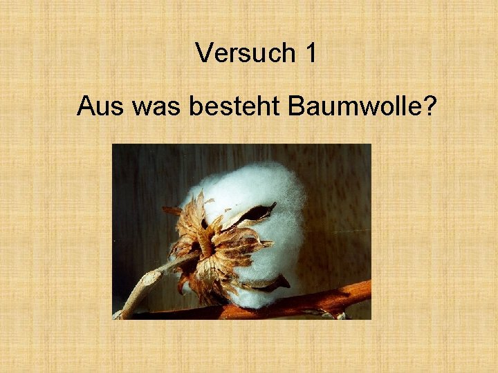Versuch 1 Aus was besteht Baumwolle? 