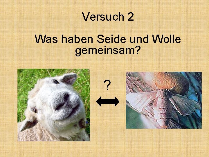 Versuch 2 Was haben Seide und Wolle gemeinsam? ? 