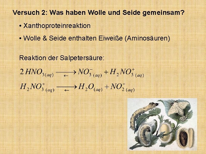Versuch 2: Was haben Wolle und Seide gemeinsam? • Xanthoproteinreaktion • Wolle & Seide