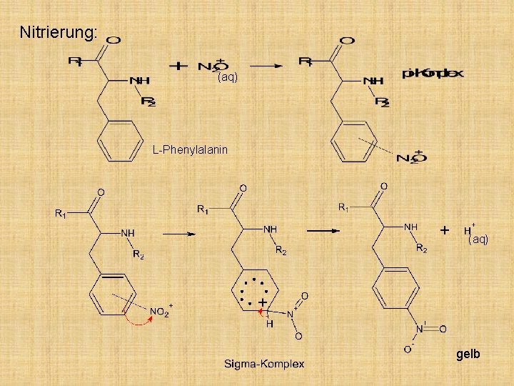 Nitrierung: (aq) L-Phenylalanin (aq) gelb 