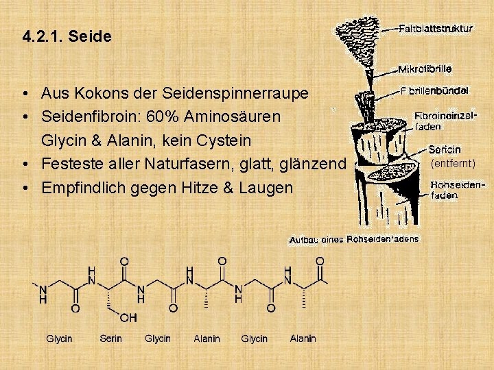 4. 2. 1. Seide • Aus Kokons der Seidenspinnerraupe • Seidenfibroin: 60% Aminosäuren Glycin