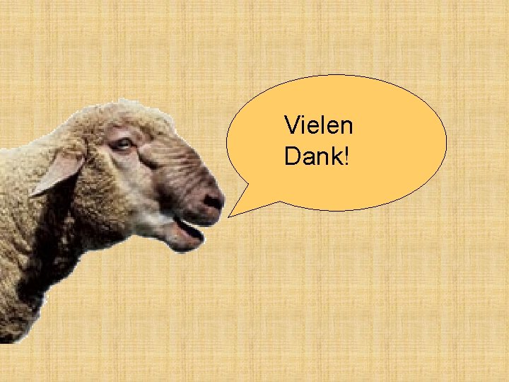 Vielen Dank! 