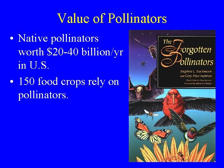 Value of Pollinators • Native pollinators worth $20 -40 billion/yr in U. S. •