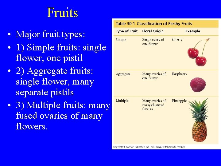 Fruits • Major fruit types: • 1) Simple fruits: single flower, one pistil •